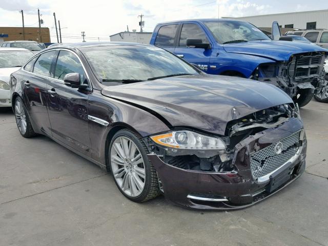 SAJWA1CB9BLV08920 - 2011 JAGUAR XJ BASE BURGUNDY photo 1