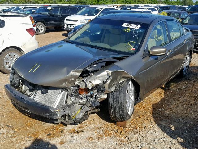 1HGCP2F84AA111875 - 2010 HONDA ACCORD EXL GOLD photo 2