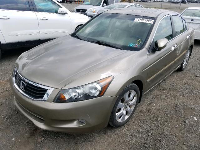 1HGCP36878A011754 - 2008 HONDA ACCORD EXL BROWN photo 2