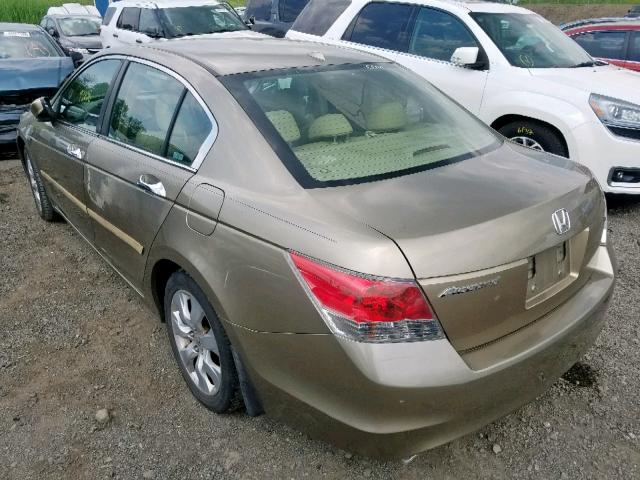 1HGCP36878A011754 - 2008 HONDA ACCORD EXL BROWN photo 3