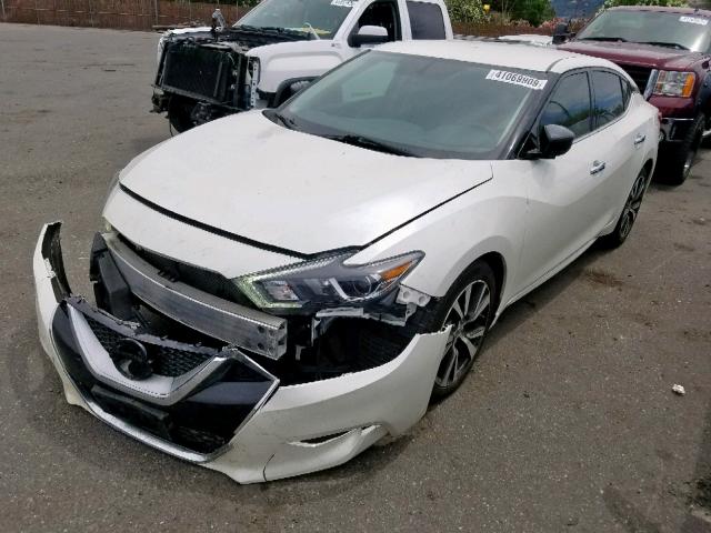 1N4AA6AP7GC436911 - 2016 NISSAN MAXIMA 3.5 WHITE photo 2