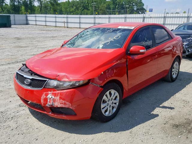 KNAFU4A21A5049747 - 2010 KIA FORTE EX RED photo 2