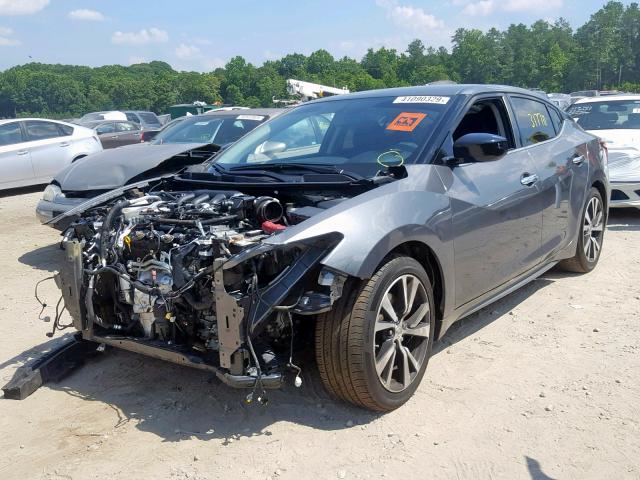 1N4AA6AP1HC403341 - 2017 NISSAN MAXIMA 3.5 GRAY photo 2