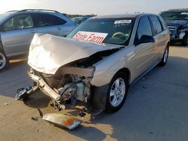 1G1ZT64835F204516 - 2005 CHEVROLET MALIBU MAX 金色 照片 2