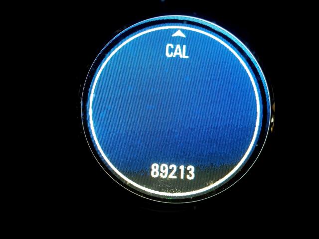 3GYFNEE3XCS532035 - 2012 CADILLAC SRX PERFOR BLUE photo 8