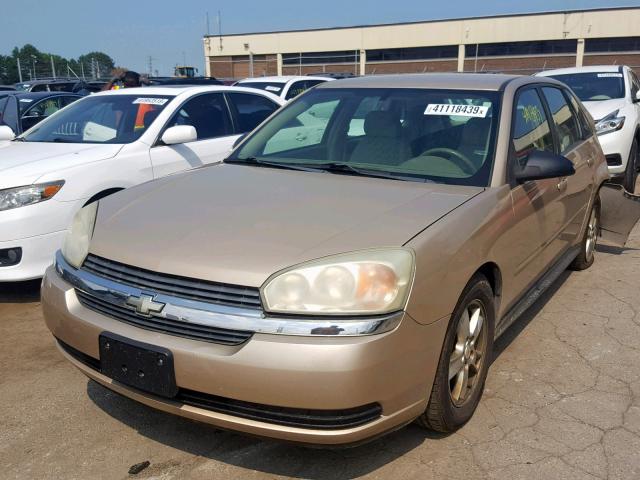 1G1ZT62885F311760 - 2005 CHEVROLET MALIBU MAX 金色 照片 2