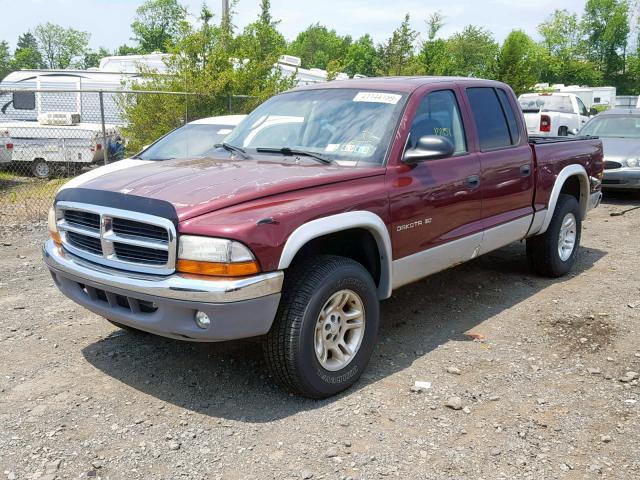 1B7HG2AN51S293887 - 2001 DODGE DAKOTA QUA MAROON photo 2