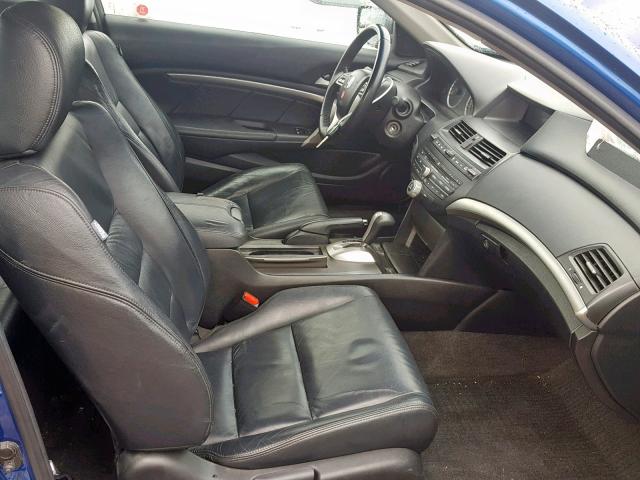 1HGCS12849A800633 - 2009 HONDA ACCORD EXL BLUE photo 5