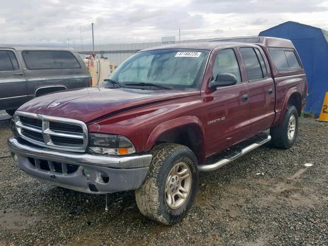 1B7HG48X52S717184 - 2002 DODGE DAKOTA QUA MAROON photo 2