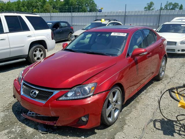 JTHBF5C2XB5146413 - 2011 LEXUS IS 250 RED photo 2