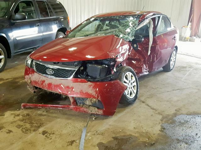 KNAFU4A20B5405039 - 2011 KIA FORTE EX RED photo 2