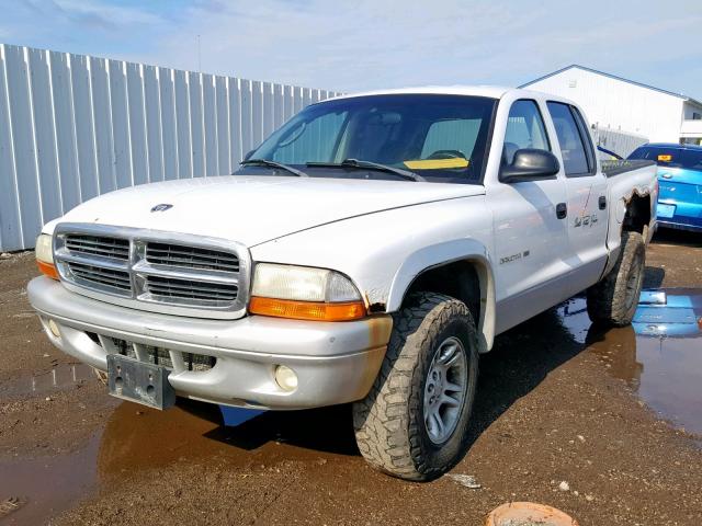 1B7HG48N22S553083 - 2002 DODGE DAKOTA QUA WHITE photo 2