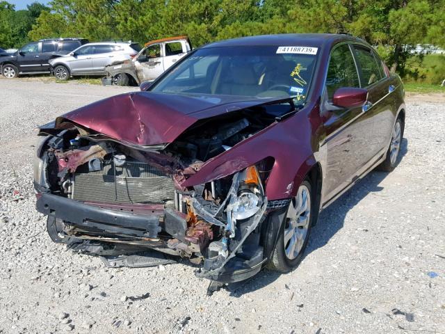 1HGCP36839A019450 - 2009 HONDA ACCORD EXL MAROON photo 2