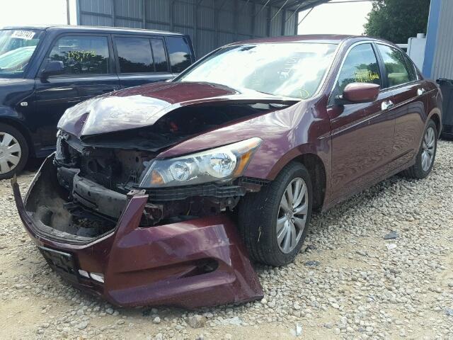 1HGCP3F81CA023178 - 2012 HONDA ACCORD BURGUNDY photo 2