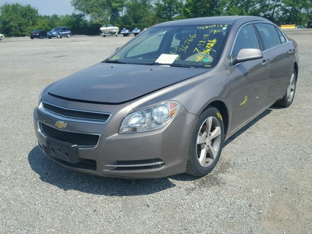 1G1ZC5E16BF282828 - 2011 CHEVROLET MALIBU 1LT 米色 照片 2
