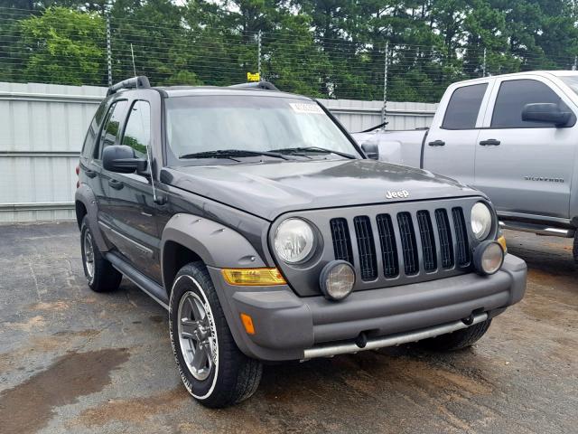 1J4GK38K76W140305 - 2006 JEEP LIBERTY RE GRAY photo 1