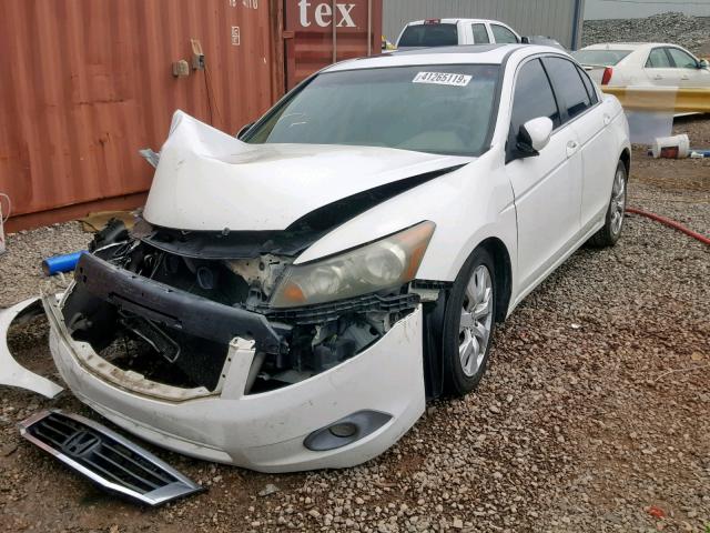 JHMCP26878C032289 - 2008 HONDA ACCORD EXL WHITE photo 2