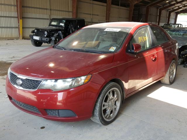 KNAFU4A28C5561492 - 2012 KIA FORTE EX RED photo 2