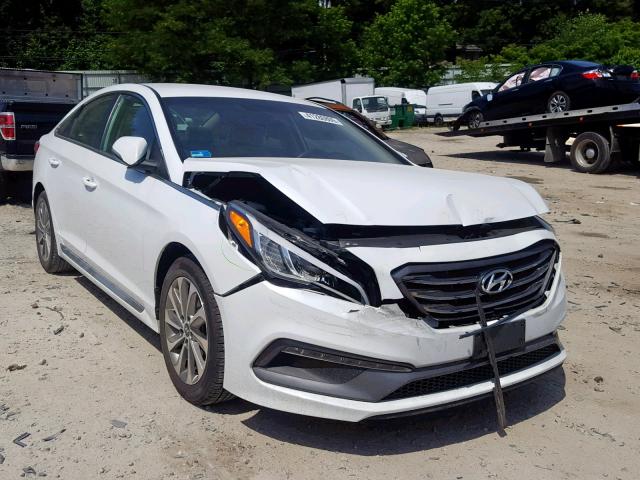 5NPE34AF2FH072353 - 2015 HYUNDAI SONATA SPO WHITE photo 1