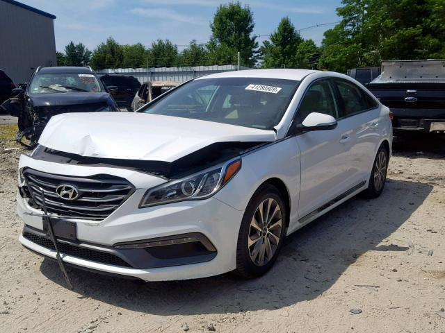 5NPE34AF2FH072353 - 2015 HYUNDAI SONATA SPO WHITE photo 2