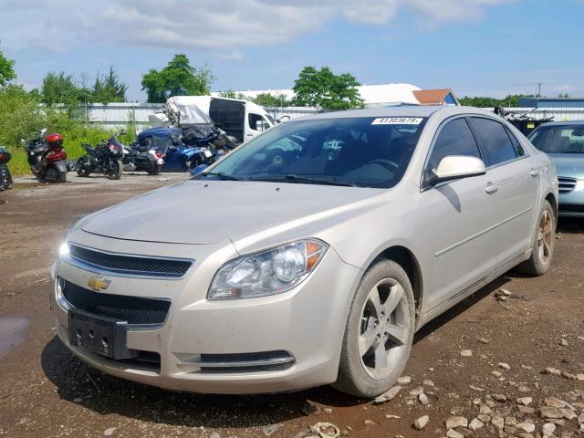 1G1ZC5EU9BF361372 - 2011 CHEVROLET MALIBU 1LT 棕色 照片 2