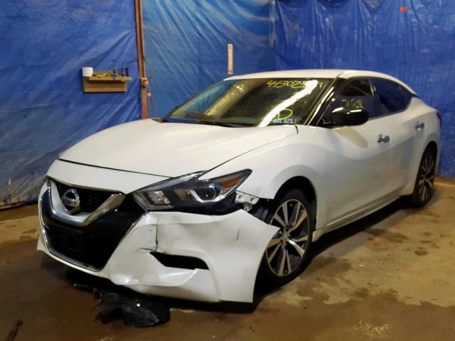 1N4AA6AP7GC408459 - 2016 NISSAN MAXIMA 3.5 WHITE photo 2