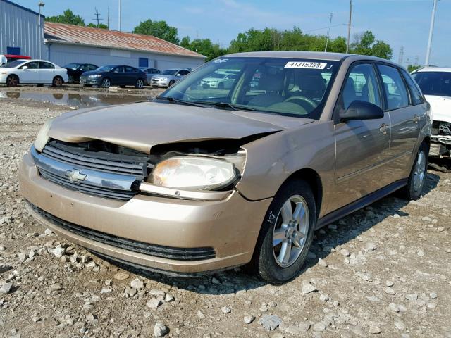 1G1ZT62815F320266 - 2005 CHEVROLET MALIBU MAX 金色 照片 2