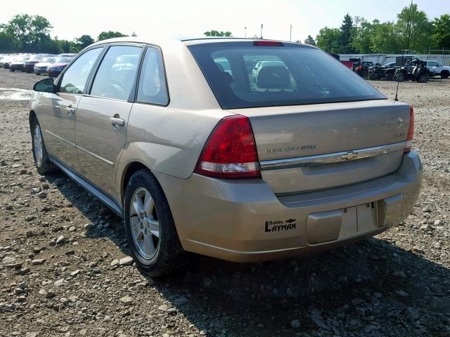 1G1ZT62815F320266 - 2005 CHEVROLET MALIBU MAX 金色 照片 3