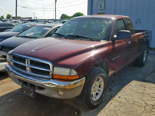 1B7GL22N61S334825 - 2001 DODGE DAKOTA BURGUNDY photo 2