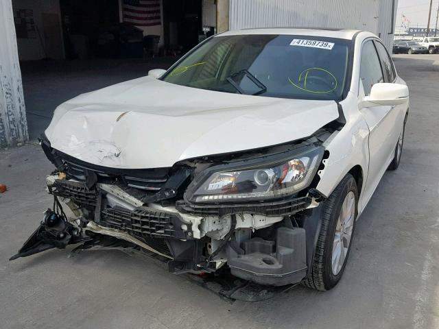 1HGCR2F82DA275303 - 2013 HONDA ACCORD EXL WHITE photo 2