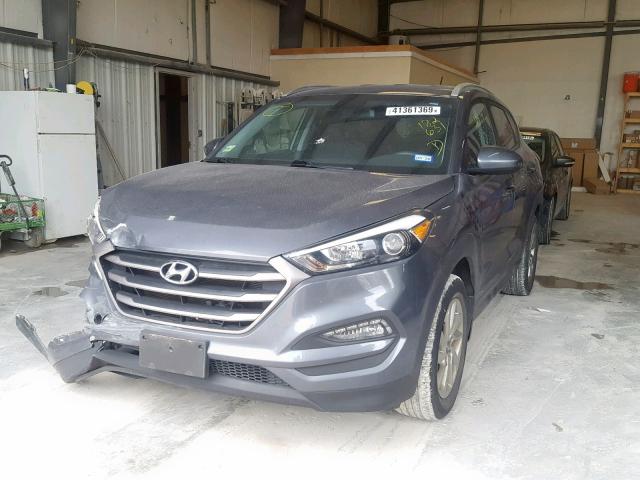 KM8J33A43GU182631 - 2016 HYUNDAI TUCSON LIM GRAY photo 2