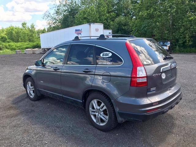 5J6RE4H70AL003749 - 2010 HONDA CR-V EXL GRAY photo 3