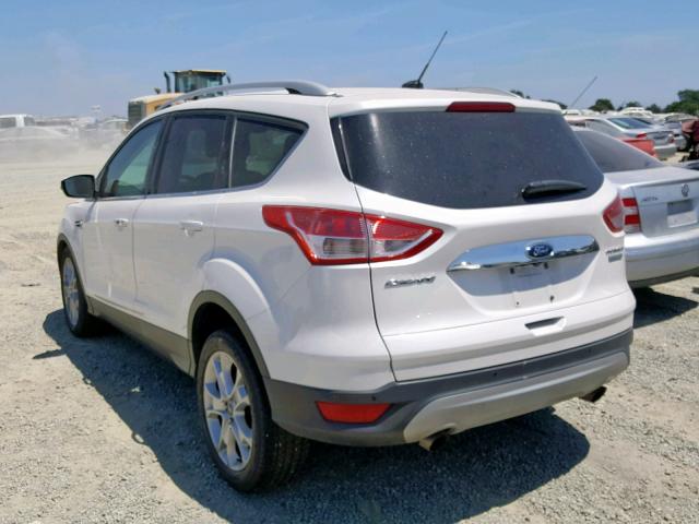 1FMCU0JX7GUB22169 - 2016 FORD ESCAPE TIT WHITE photo 3