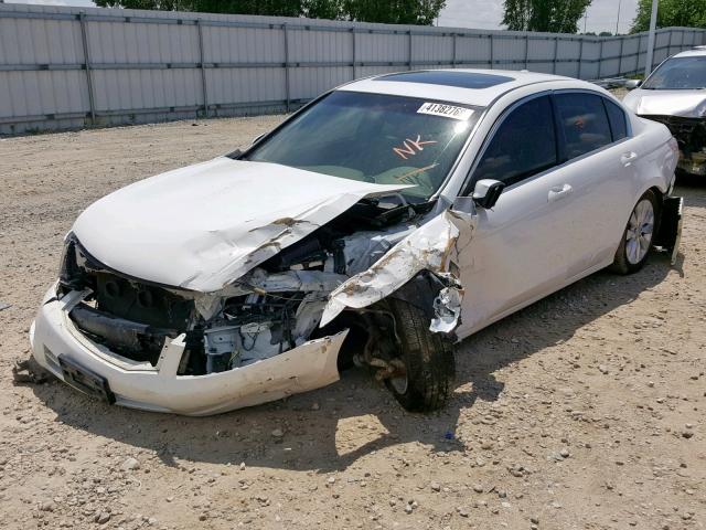 JHMCP26808C034109 - 2008 HONDA ACCORD EXL WHITE photo 2