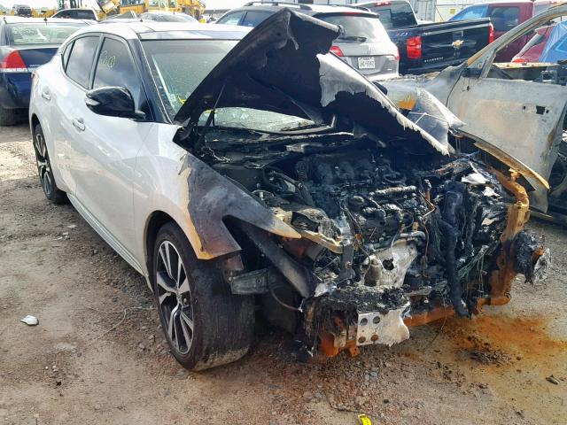 1N4AA6AP7HC376713 - 2017 NISSAN MAXIMA 3.5 WHITE photo 1