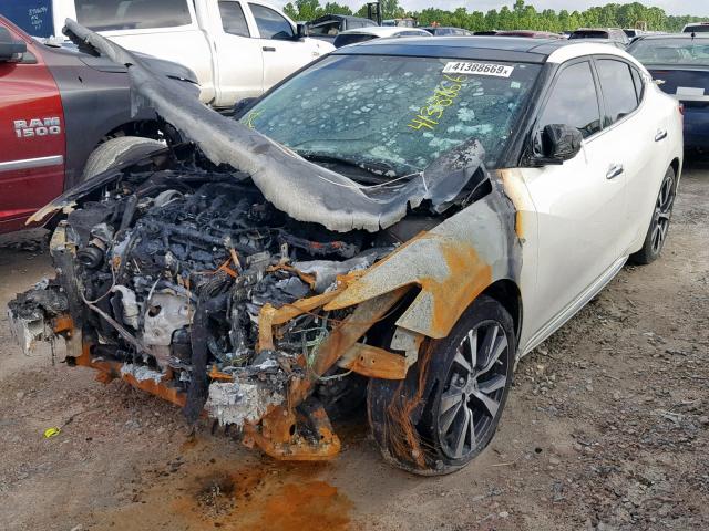 1N4AA6AP7HC376713 - 2017 NISSAN MAXIMA 3.5 WHITE photo 2