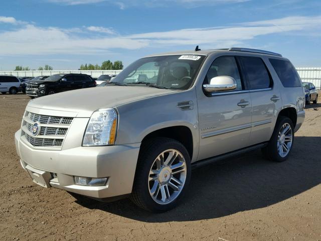 1GYS3CEF8ER203293 - 2014 CADILLAC ESCALADE P TAN photo 2