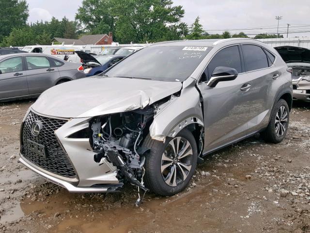 JTJBARBZ2K2191107 - 2019 LEXUS NX 300 BAS GRAY photo 2