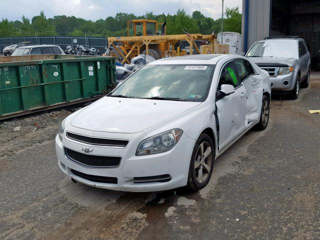 1G1ZC5E19BF204480 - 2011 CHEVROLET MALIBU 1LT 白色 照片 2