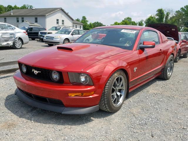 1ZVHT82H095127615 - 2009 FORD MUSTANG GT RED photo 2