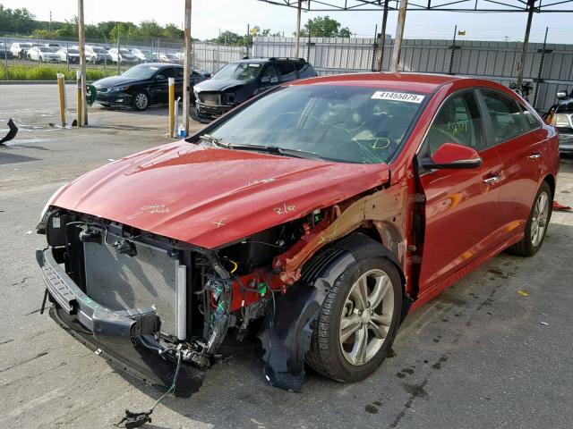 5NPE34AF2JH659001 - 2018 HYUNDAI SONATA SPO RED photo 2