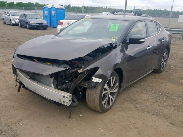 1N4AA6AP3GC440941 - 2016 NISSAN MAXIMA 3.5 BROWN photo 2