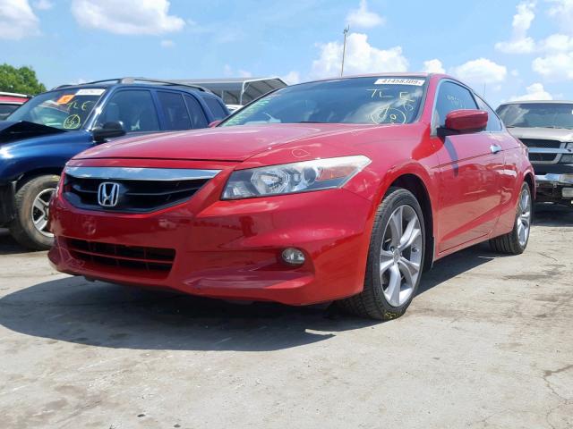 1HGCS2B83CA007143 - 2012 HONDA ACCORD EXL RED photo 2