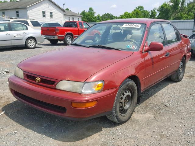 2T1BB02E5TC177228 - 1996 TOYOTA COROLLA DX BURGUNDY photo 2