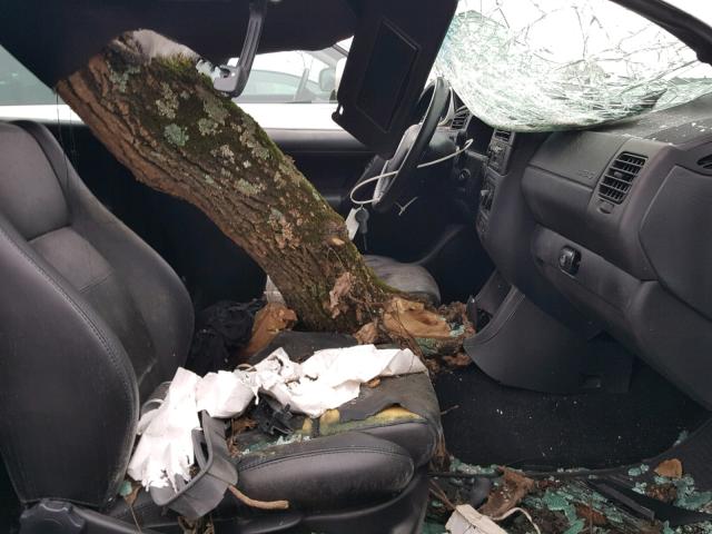 3VWDC21V32M810489 - 2002 VOLKSWAGEN CABRIO GLX 白色 照片 5