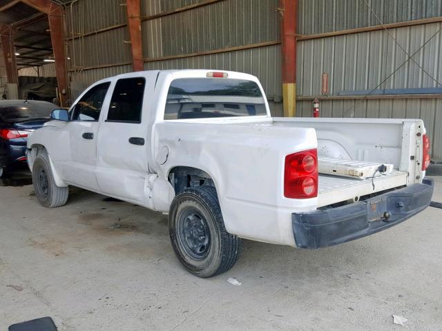 1D7HE28KX5S209706 - 2005 DODGE DAKOTA QUA WHITE photo 3