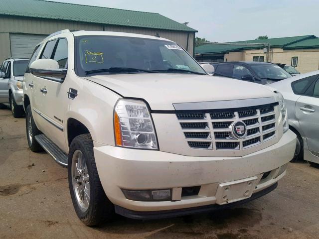 1GYFK63817R351640 - 2007 CADILLAC ESCALADE L WHITE photo 1