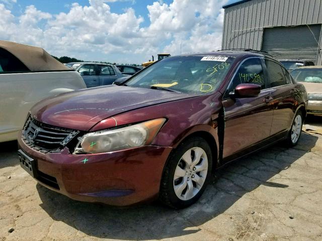 JHMCP26898C037414 - 2008 HONDA ACCORD EXL BURGUNDY photo 2