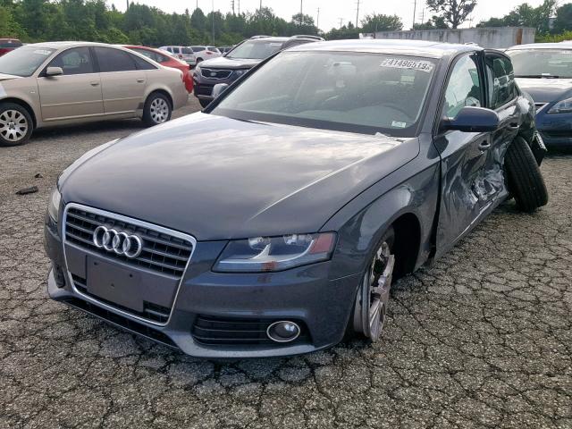 WAUAFAFL5AN016562 - 2010 AUDI A4 PREMIUM GRAY photo 2