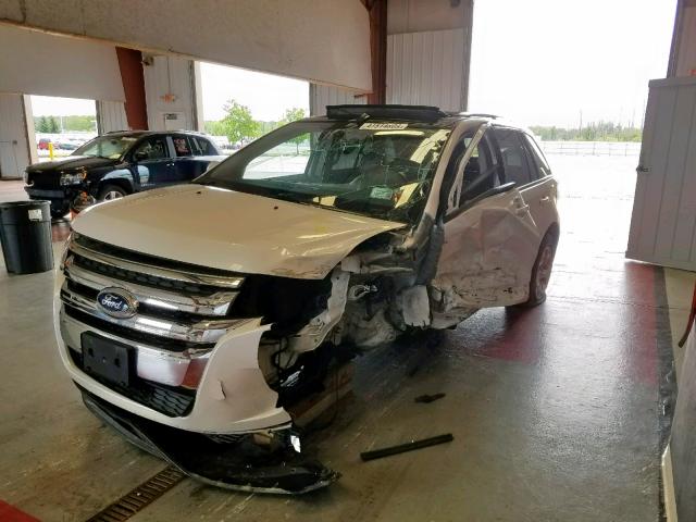 2FMDK3JC3DBE31843 - 2013 FORD EDGE SEL WHITE photo 2